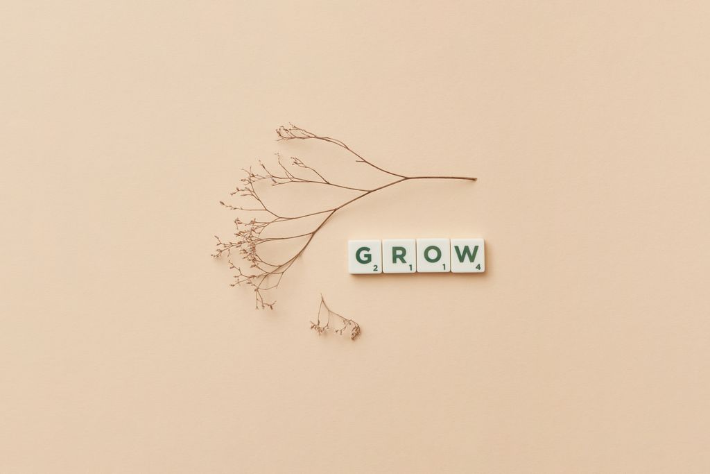 Minimalist design with typography and dry twig on beige background, symbolising growth.