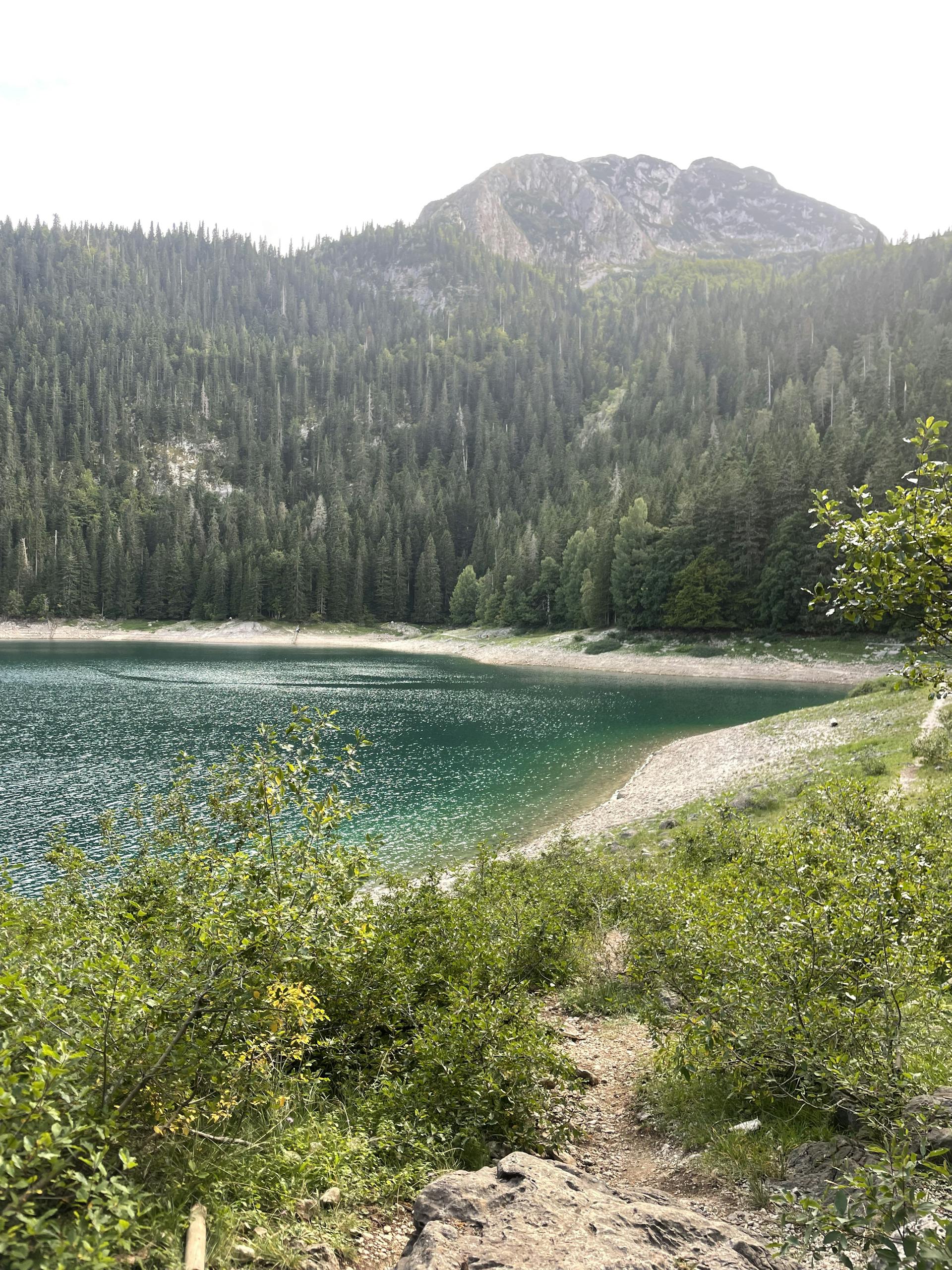 Stunning view of Black Lake surrounded by dense conifer forests in Žabljak, Montenegro.