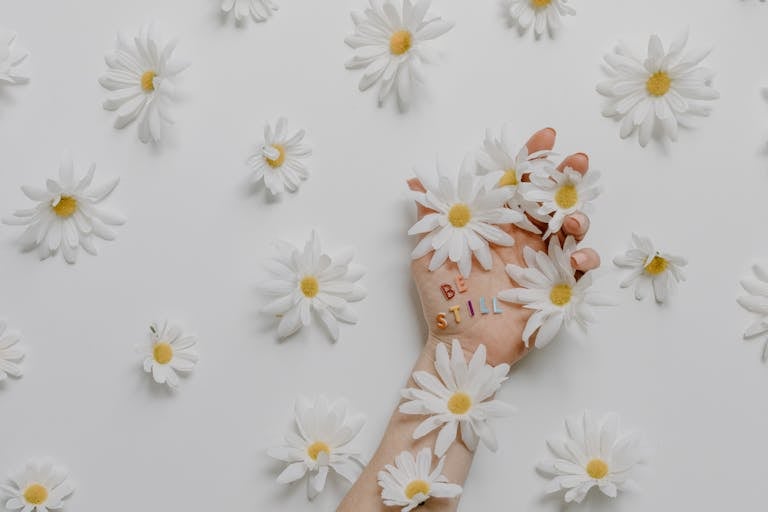 Flat lay of daisies with hand and inspirational 'be still' text, creating a calming floral scene.