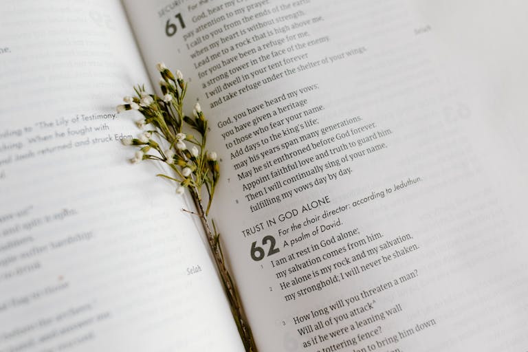 A close-up of an open Bible page with scripture and delicate white flowers.