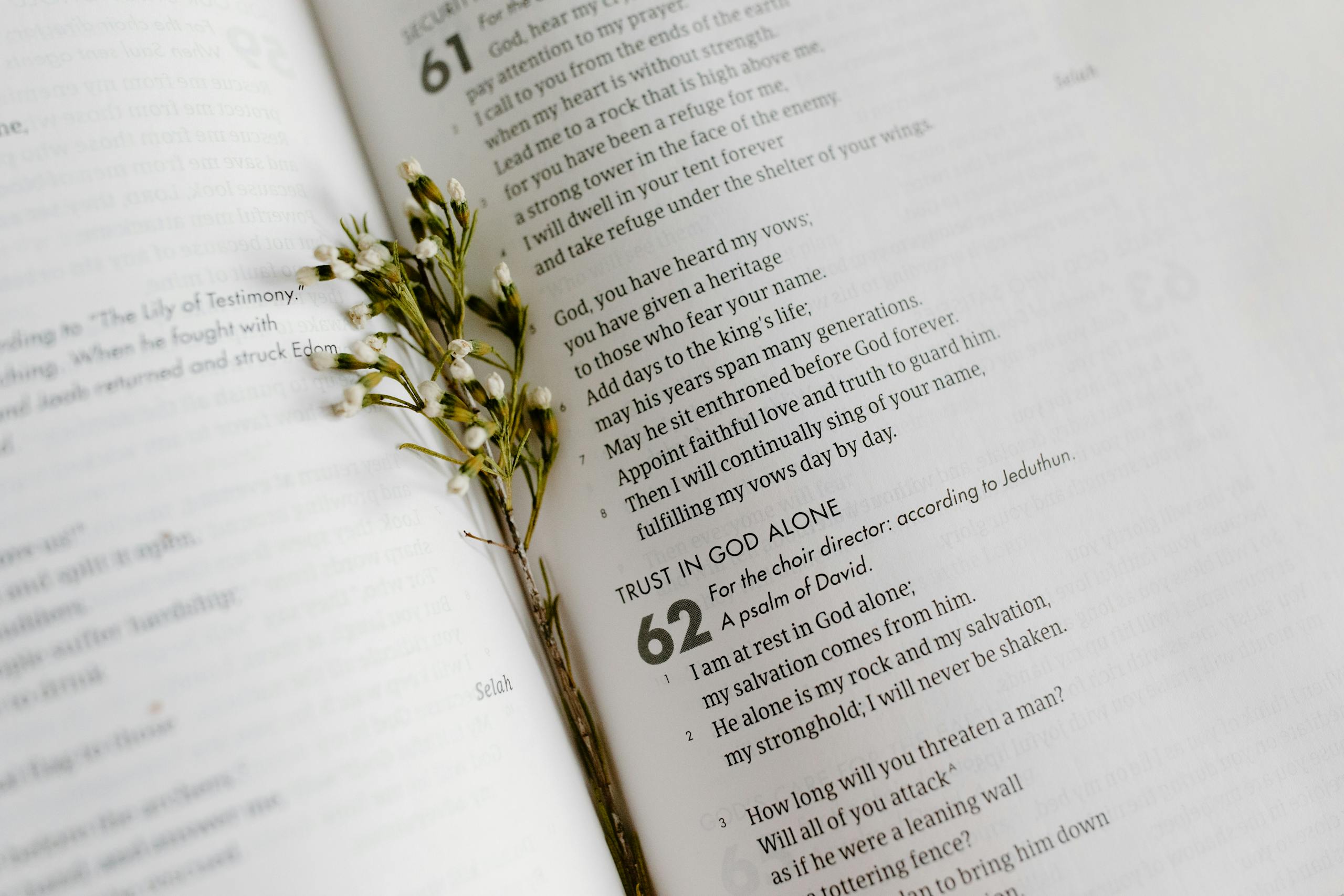 A close-up of an open Bible page with scripture and delicate white flowers.