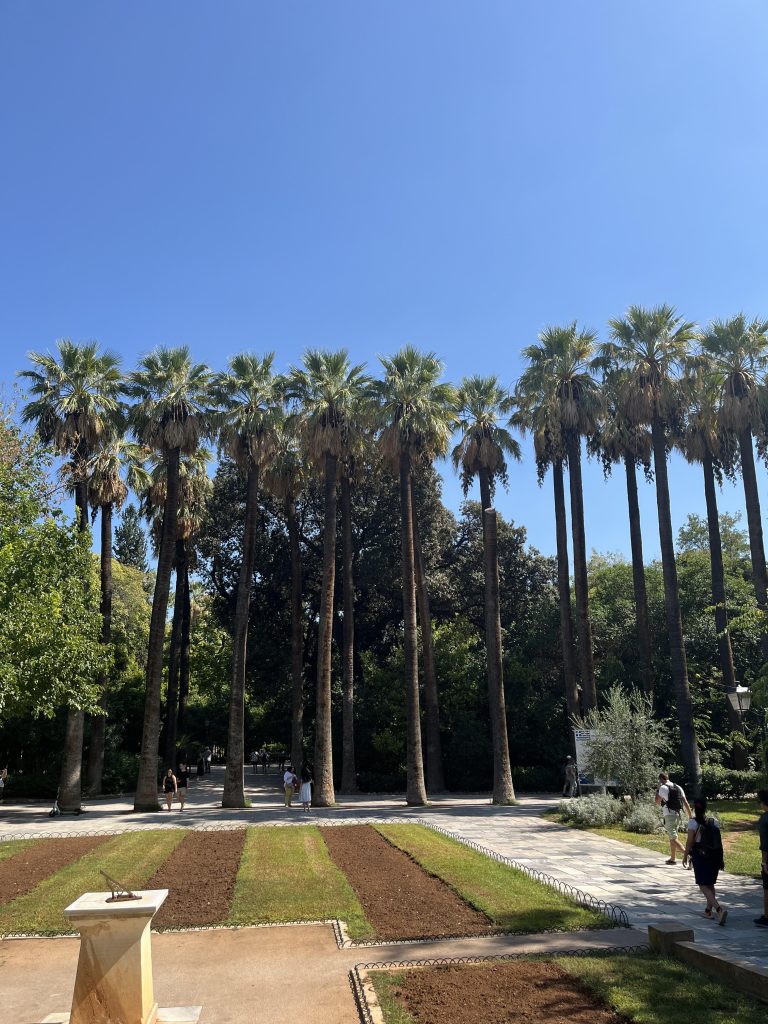 The Athens National Gardens with its tall palm trees and sunny skies