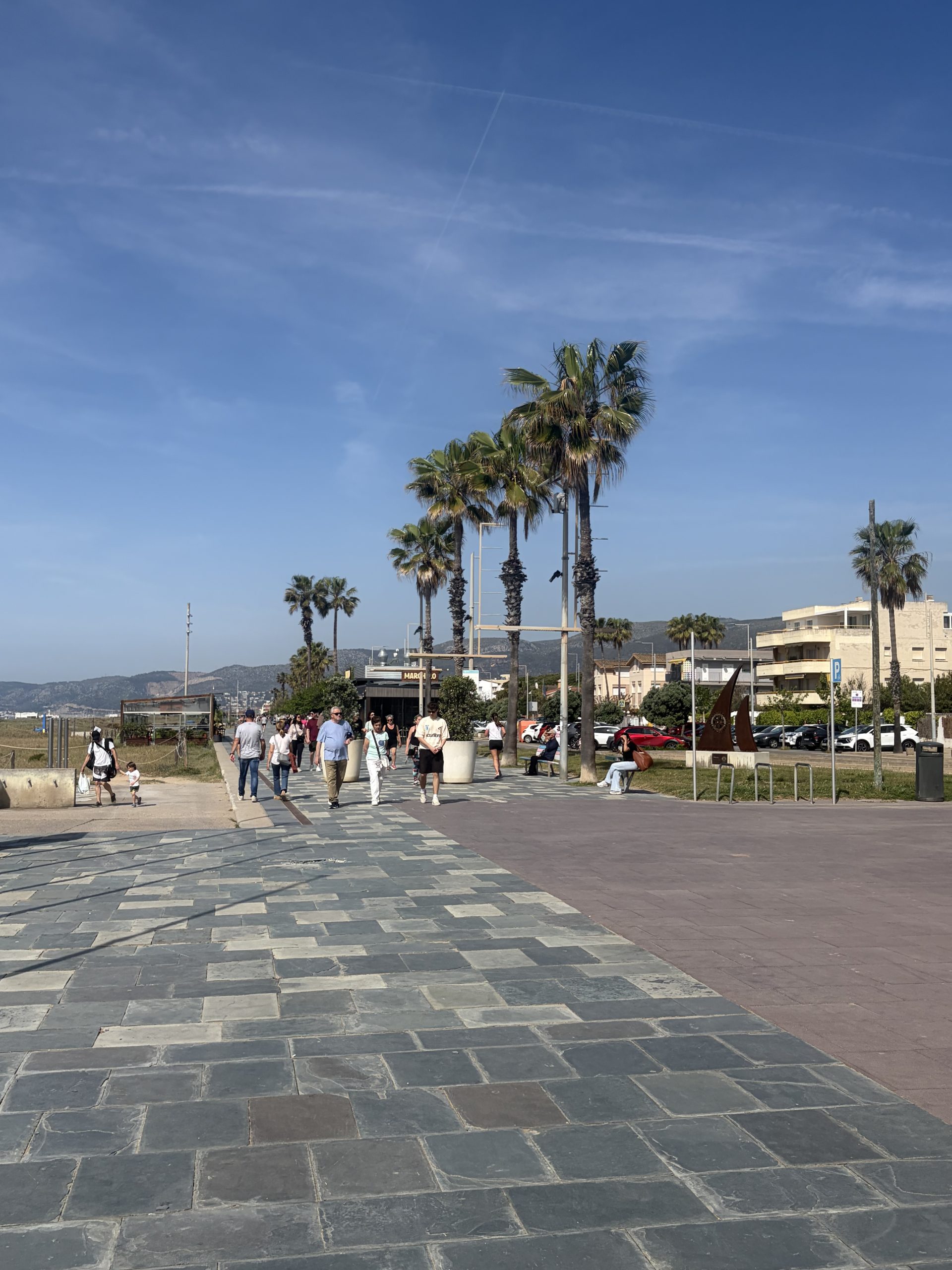 Promenade in Spain lined with palm trees.