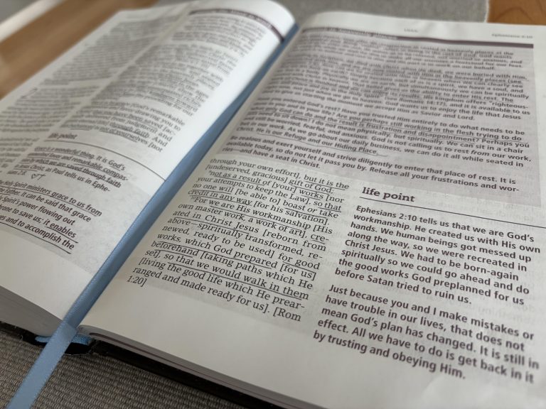 The Book of Ephesians in the Every Day Life Bible