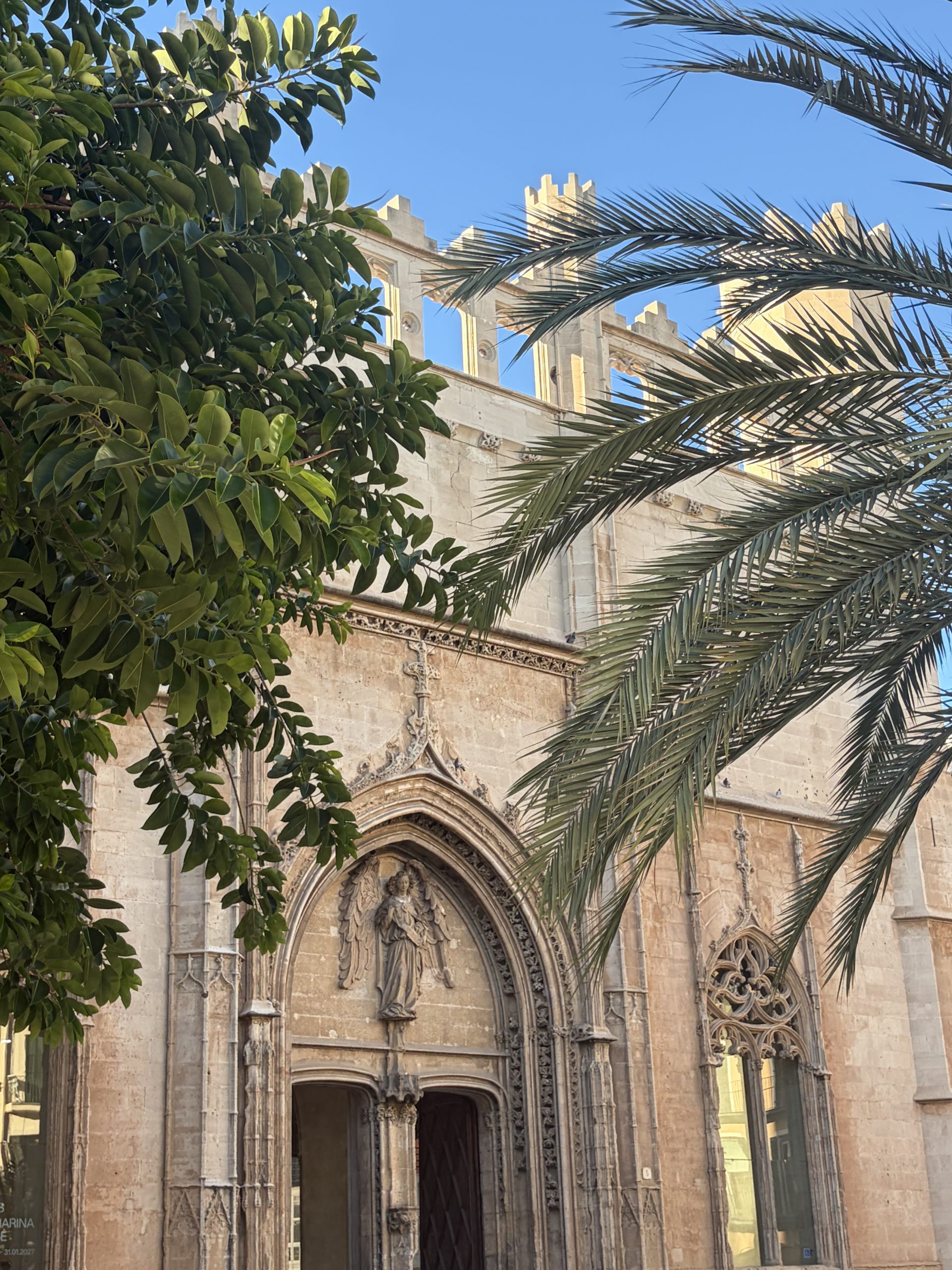 Palm Trees and honey-coloured architecture in Palma, Mallorca