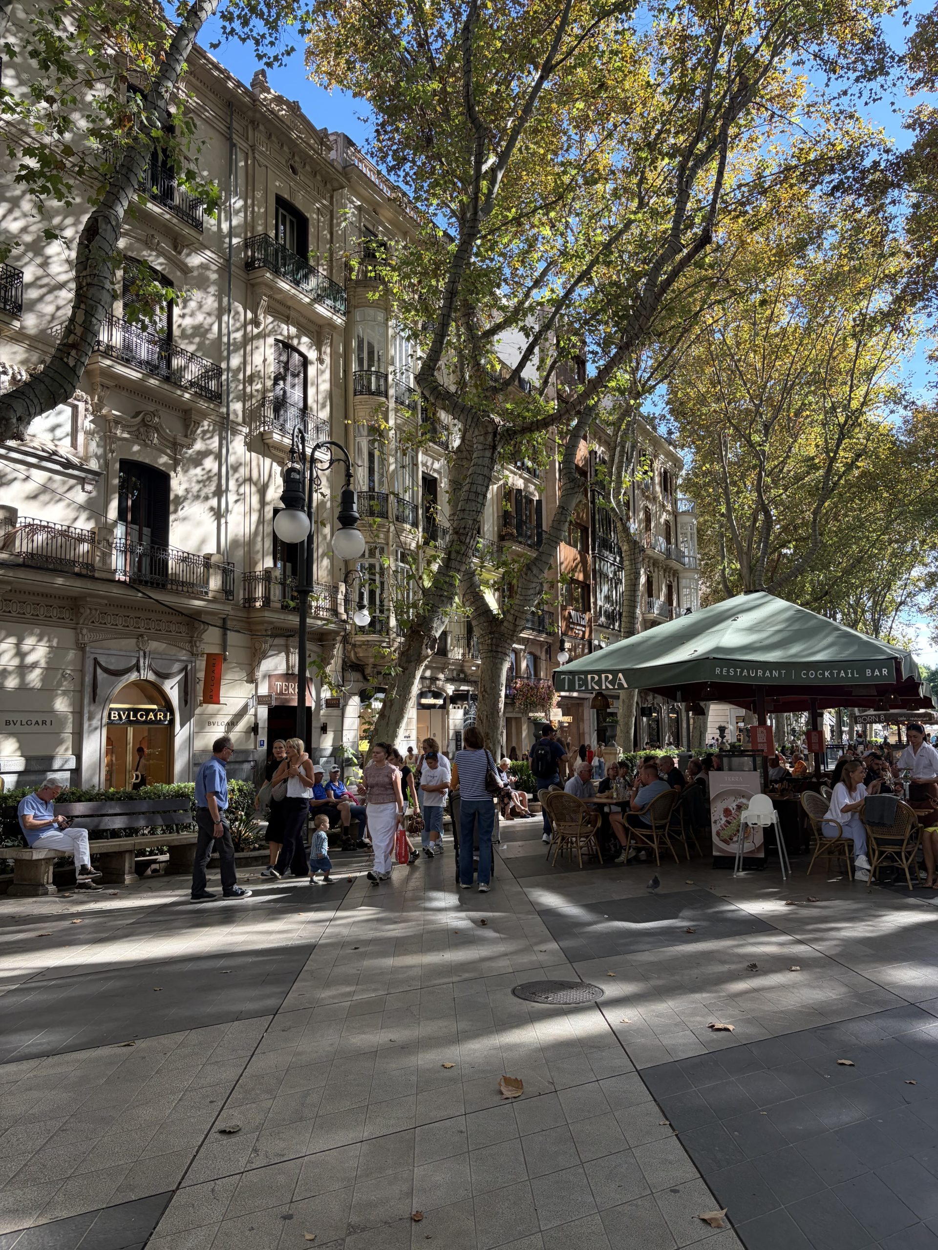 Passeig del Born, Palma Mallorca