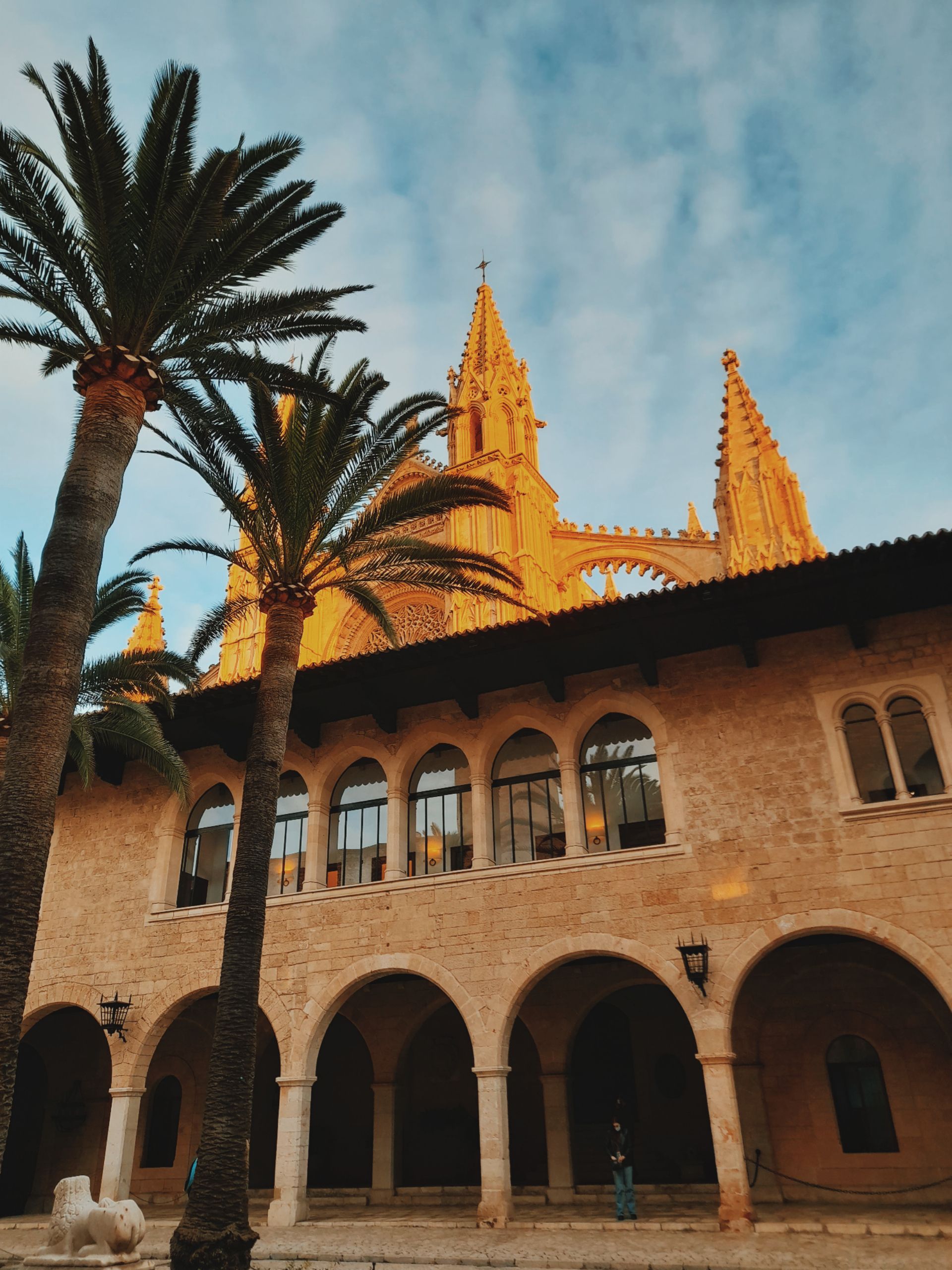 Dramatic view of Palma Cathedral and palm trees against a blue sky during sunset in Spain.
